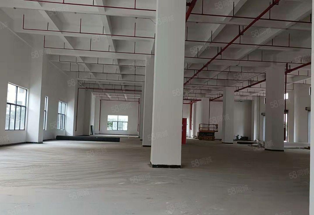 厚街新出全新重工业产业园15000平方一楼高7.5米按栋出租