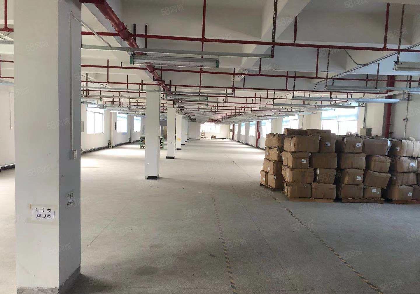 原房东独门独院厚街2楼1500方厂房出租