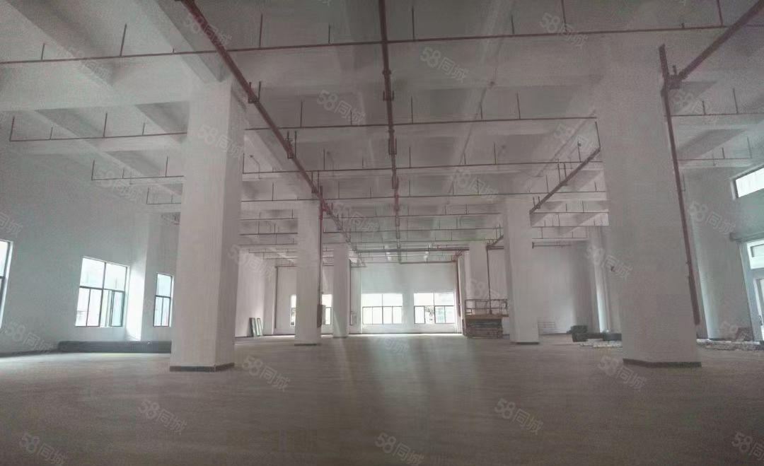 厚街全新厂房仓库出租80000平方大小可分租水电线路齐全