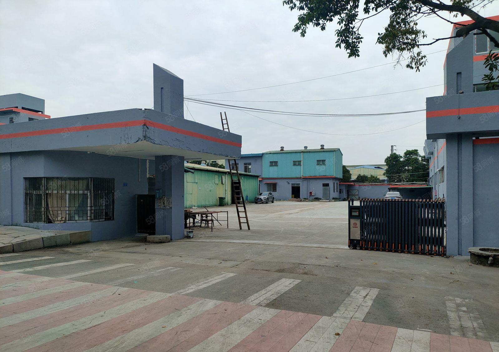 厚街新空出小面积750平，价格低！空地大！