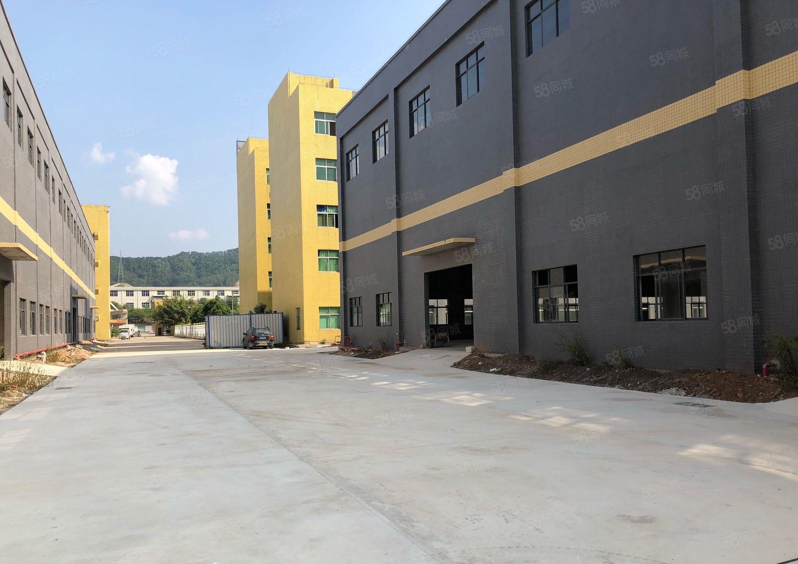 厚街镇桥头社区新出全新钢构9800平米招租