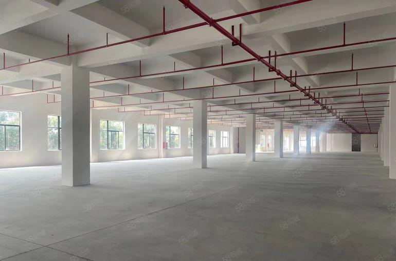 厚街原房东全新独院厂房仓库单层3000方可分租