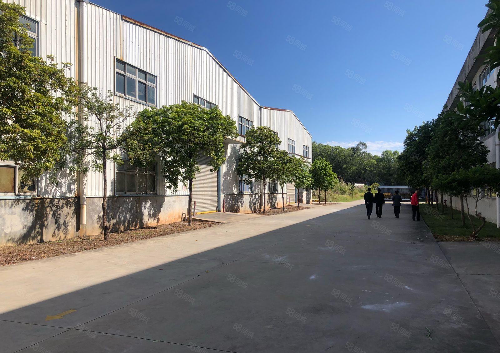 厚街镇红本厂房53000平米招租