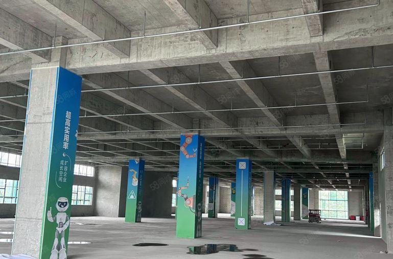 厚街全新未使用过高层厂房层高6米可重工生产企业低价招商中