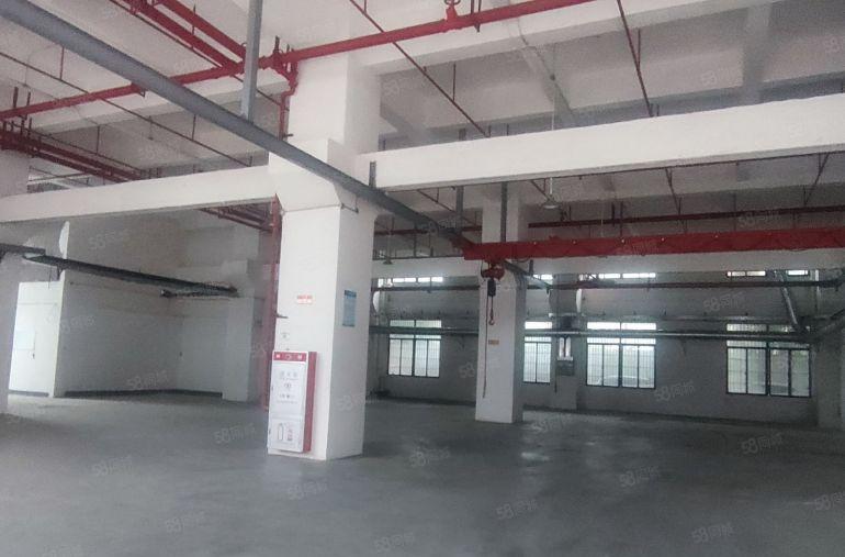 厚街镇厚街村全新花园厂房3200平一楼低价出租