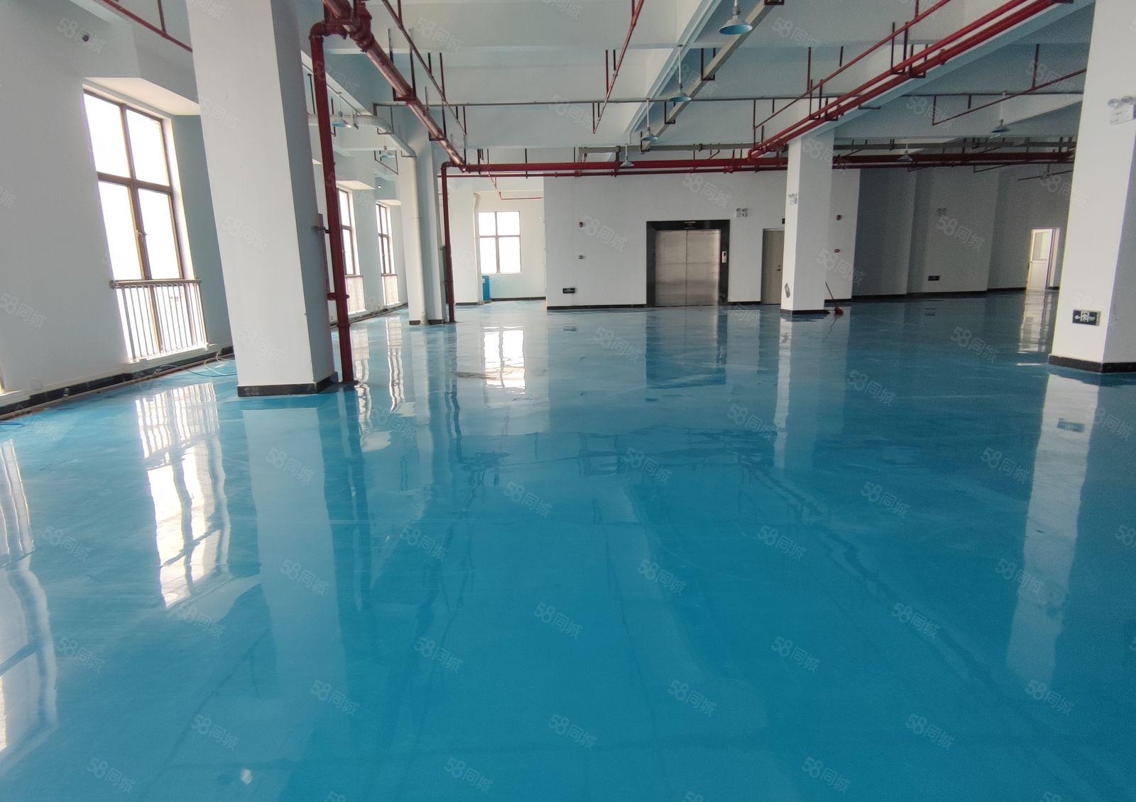 真实全新厂房 全新装修出租！