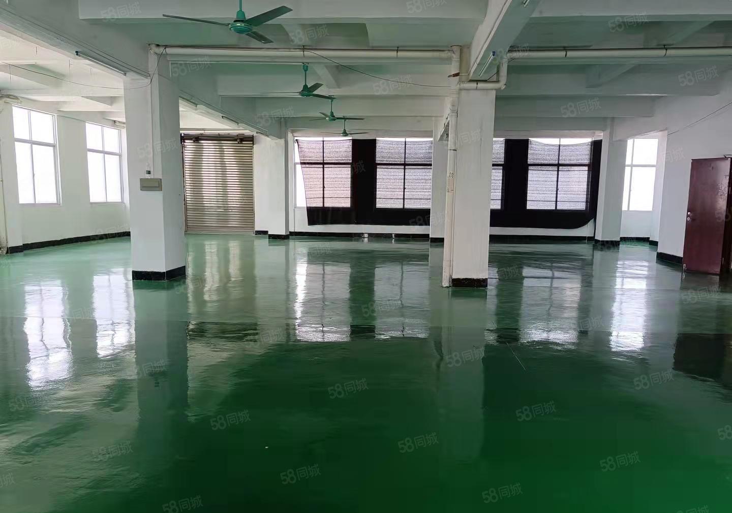 东莞市厚街全新地坪漆标准厂房二楼1230平低价招租可办环评