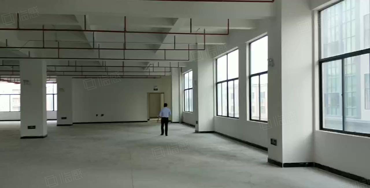 厚街全新独院重工业厂房 层高7米带牛角