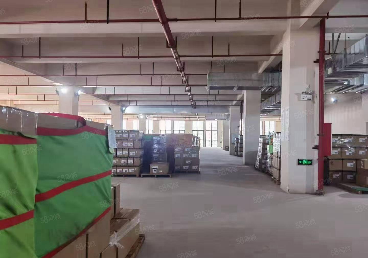 （独门独院分租）1200平出租高度6米独院原房东高水电费自己