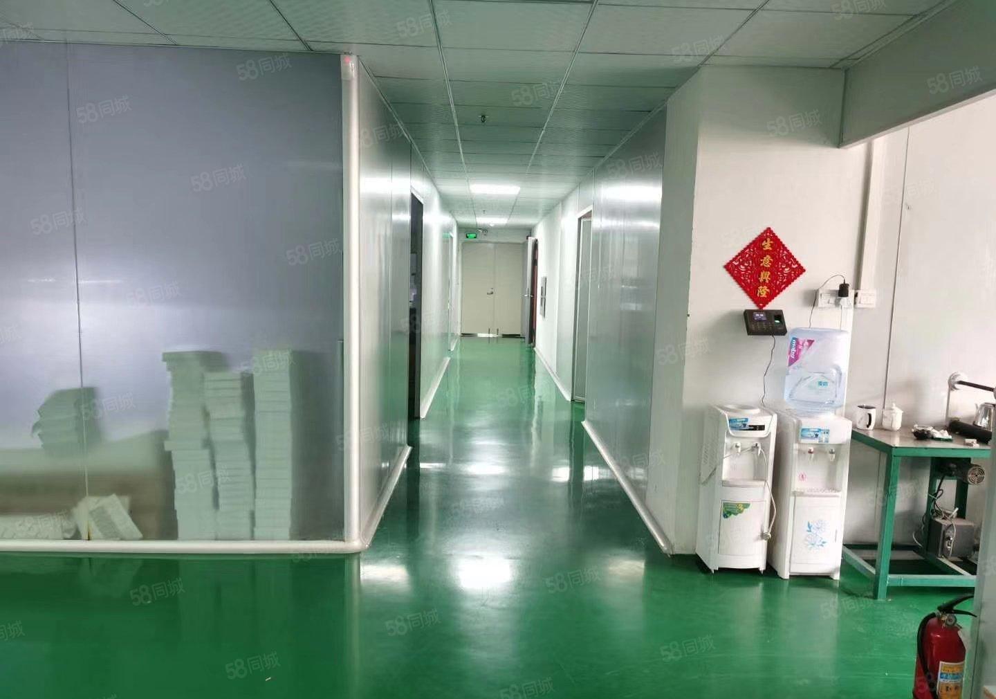 沙田原房东精装修无尘车间1150平低价招租交通方便