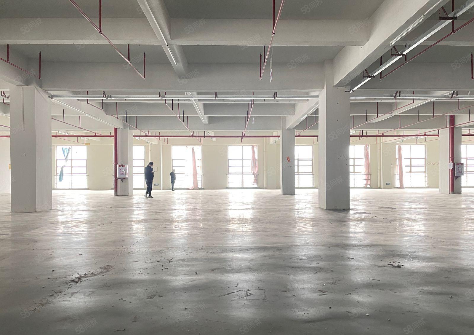 年前钜惠！厚街全新独院21000方厂房出租全新内外装修