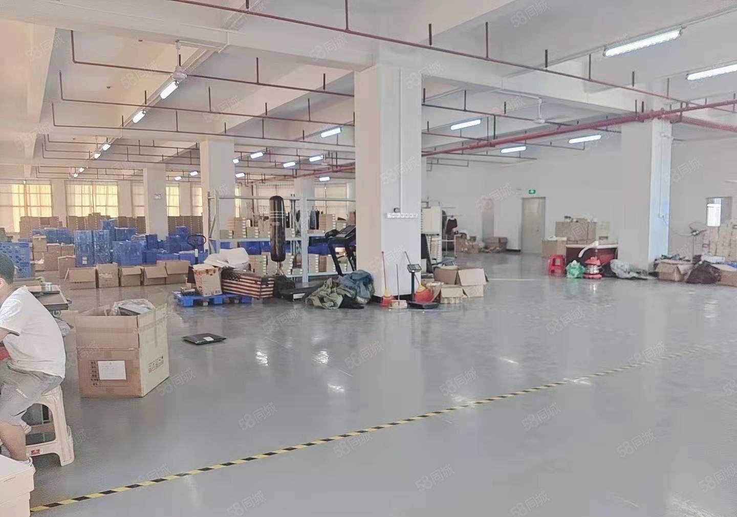 厚街原房东1150平方水电齐全全新地坪漆精装修出租