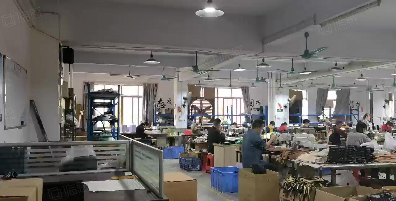 厚街镇西环路边新出独栋标准厂房单层800平方全新两吨货梯