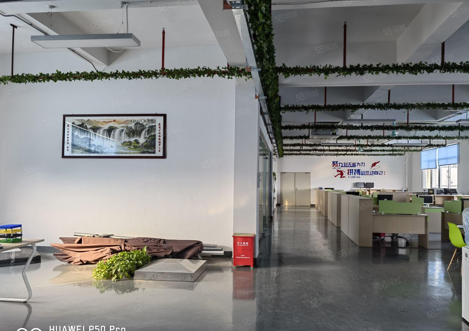 厚街新出精装现成办公5楼1350平原房东工业园厂房分租