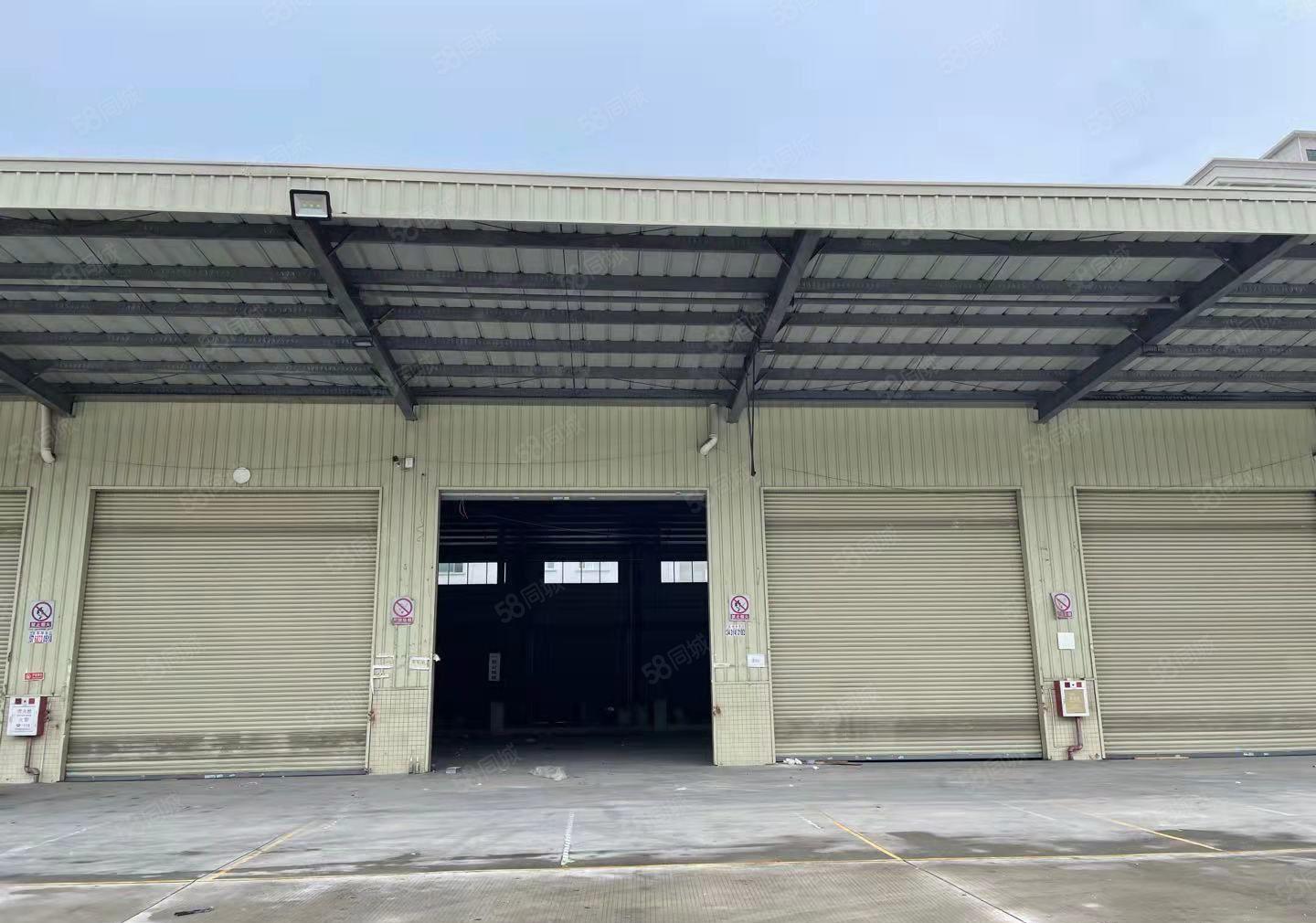 厚街新出单一层钢构厂房2600平方出租，高度12米