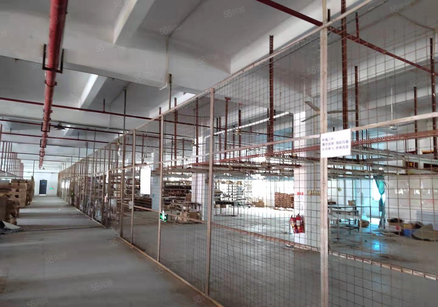 厚街新出无公摊实量厂房