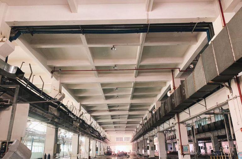 （花园式厂房）厚街镇一楼二楼各2100方厂房合适电子 注塑