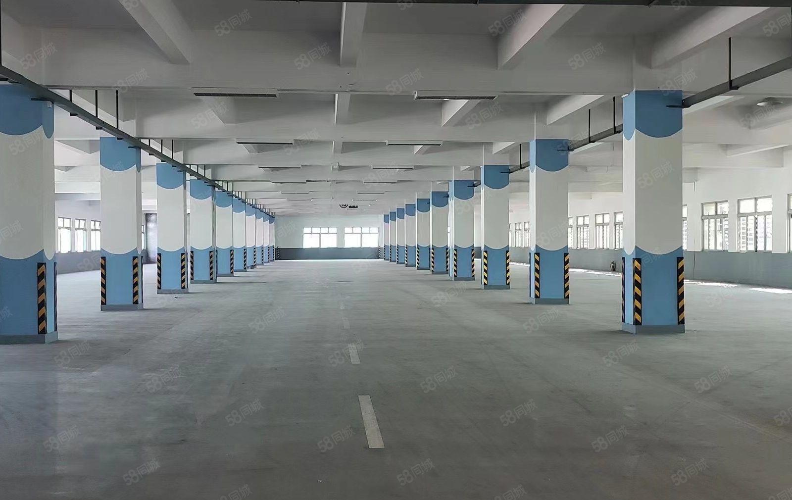 厚街寮夏新空出花园式厂房一楼3360平方