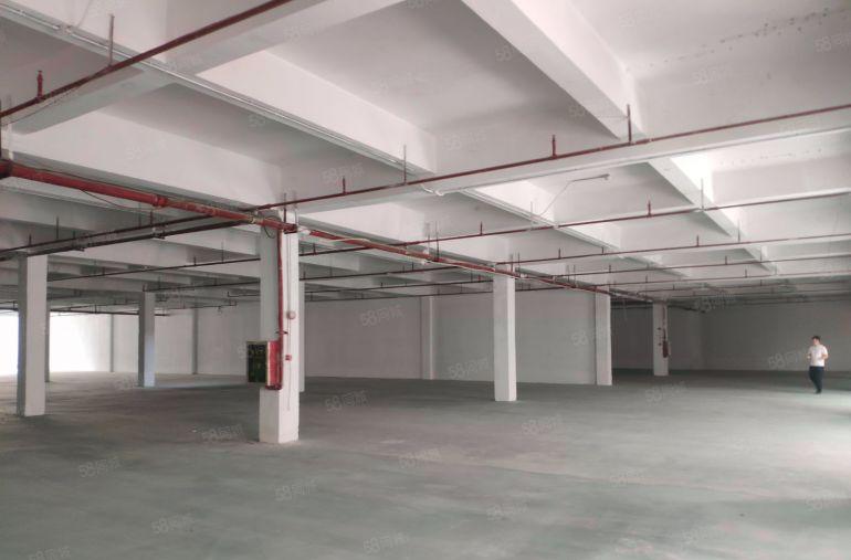 可分租！厚街赤岭楼上3000平厂房出租仓库出租