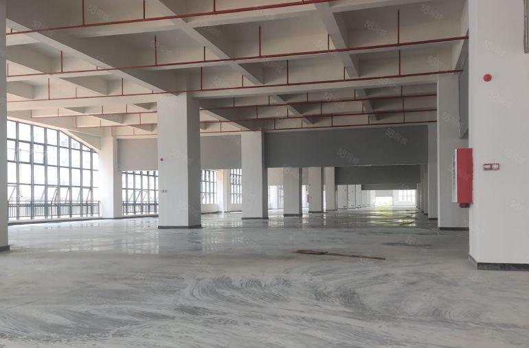 原房东厚街 全新标准厂房出租 一楼层高7米 适合设备电子行业