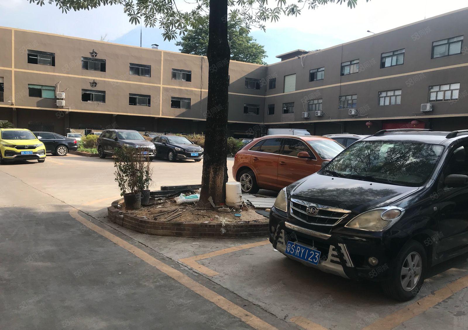 厚街花园式厂房一楼3000方，现成鞋材环评