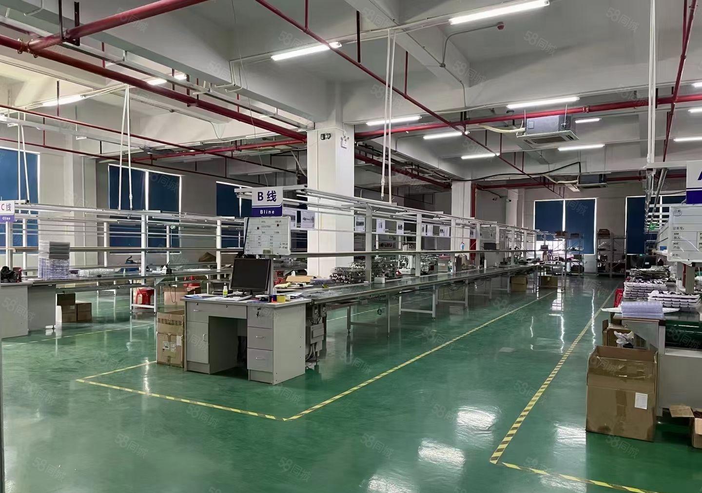 厚街现成装修1500平厂房出租，直接拎包生产！