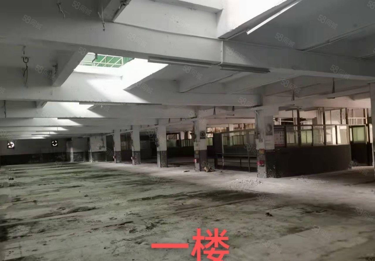 厚街镇涌口村原房东独院