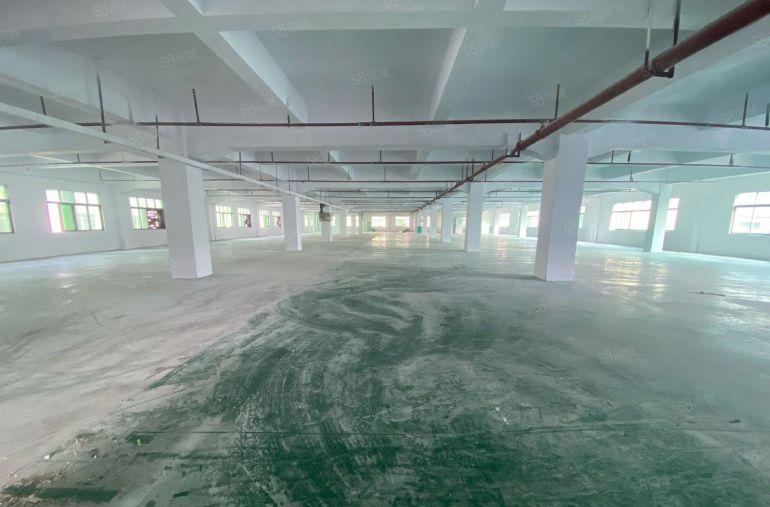 厚街镇西环路2700平大小可分租易招工独门独院交通方便原房东