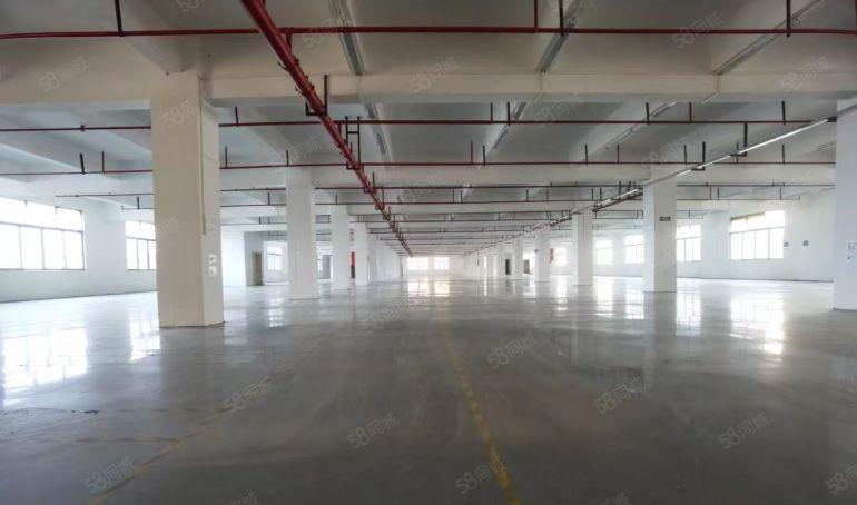 厚街 独院厂房 可分租两个小独院 适合电子 医疗 机械 注塑