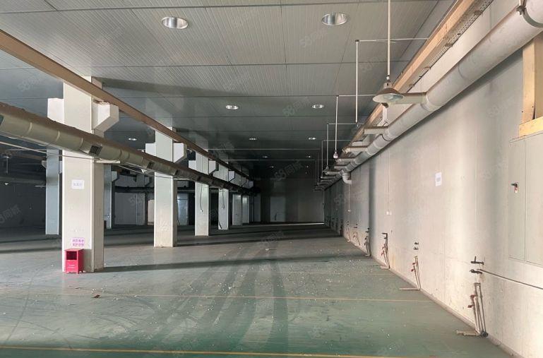 厚街新出原房东独院一楼高度六米带牛角位独栋办公室周边没有居民