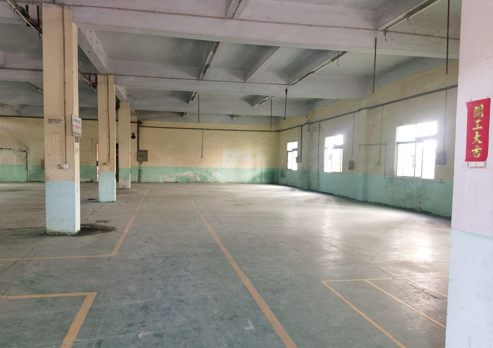 厚街独门独院带饭堂宿舍厂房