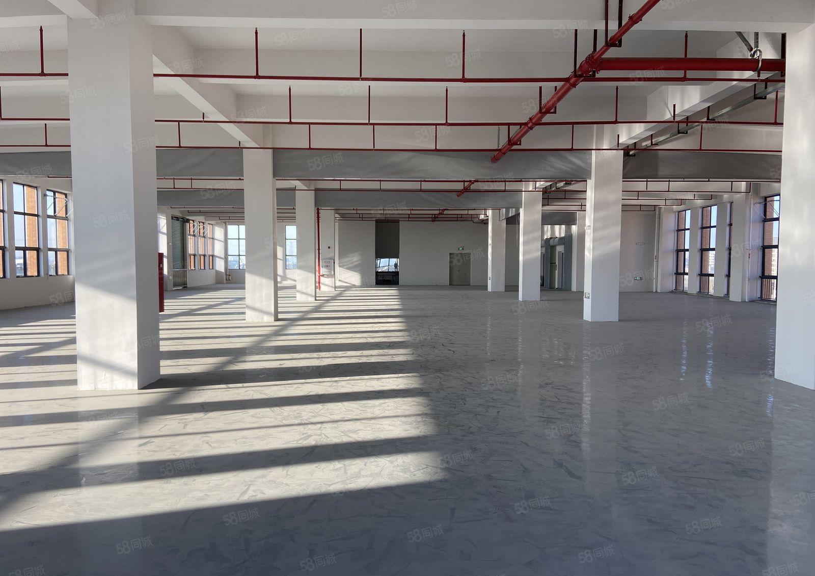 厚街涌口全新原房东厂房1730平方全新装修