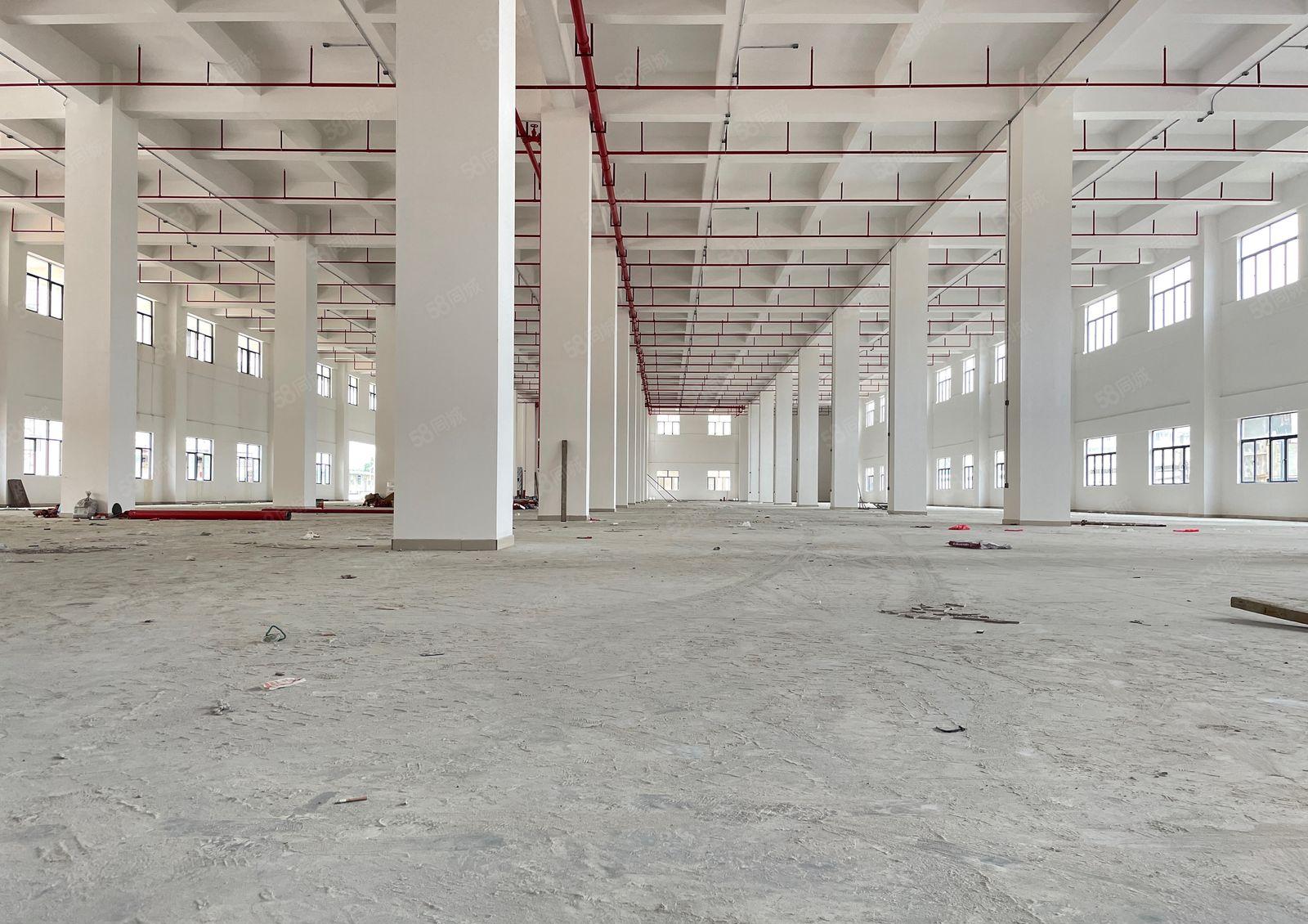 厚街高端产业园全新独院3.8万方厂房出租2000起分全新装修