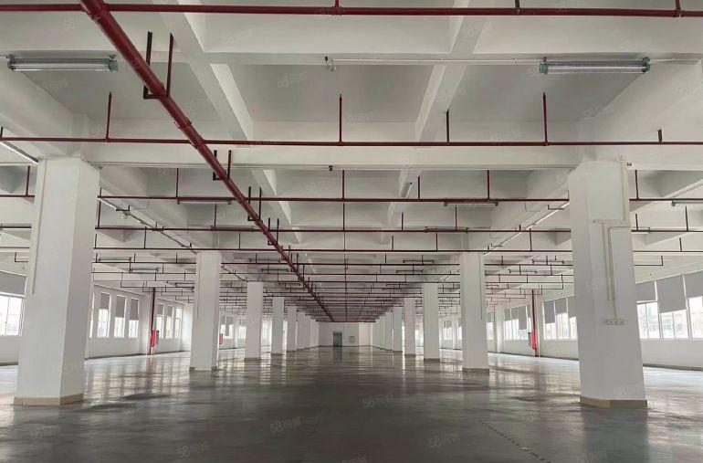 厚街三屯花园式原房东厂房出租3200平米带地坪漆