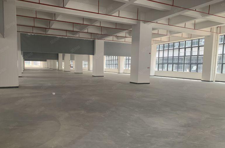 红本怡昌智慧谷湾区产业革新 智造赋能未来厂房正火热招商中