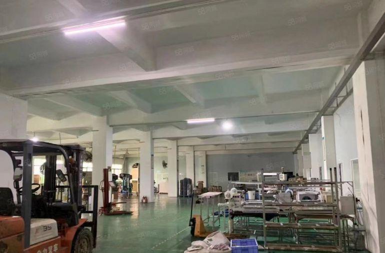 厚街陈屋新出厂房一楼2000平精装修现成水电厂房出租仓库出租