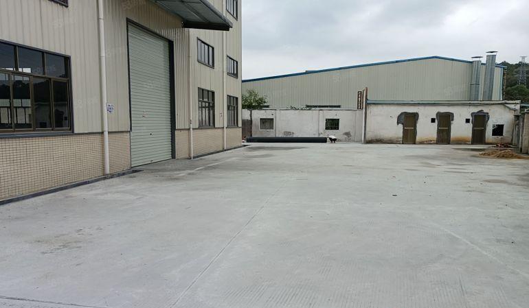 村长的厂房出租，厚街镇3500平方单一层钢结构12米厂房出租