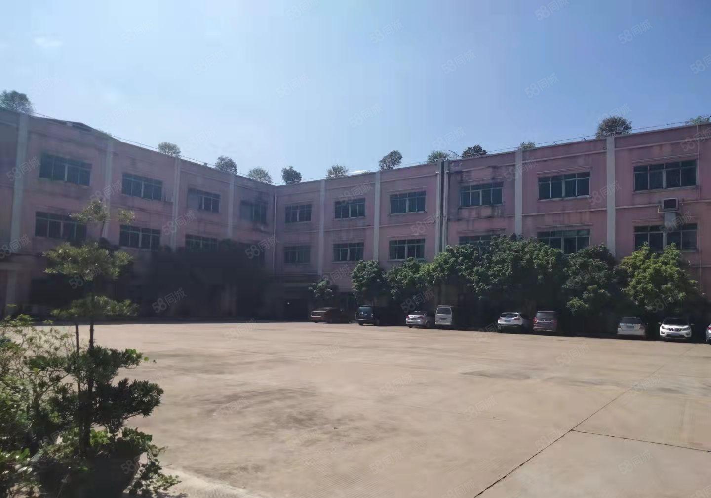 原房东一楼3000平6米高空地大形象好水电费自己交