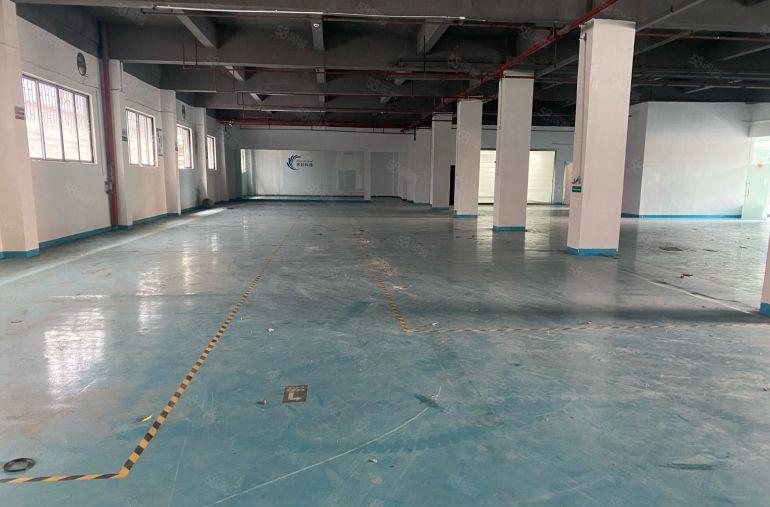 厚街镇1500平园区厂房形象OK现成办公室易招工独门独院