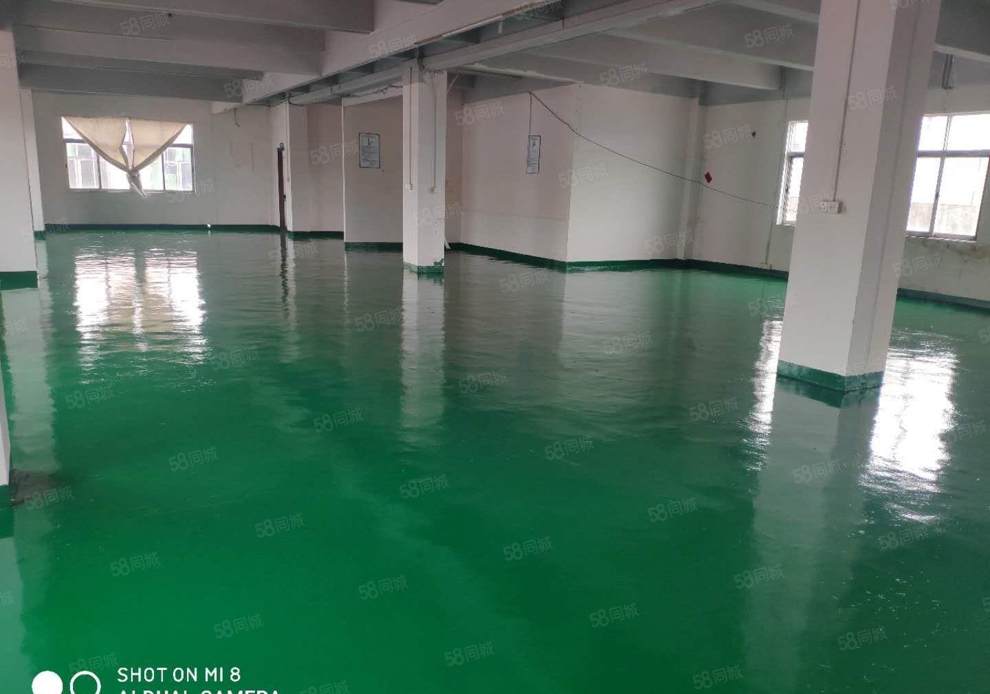 厚街新出原房东325平水电齐全精装修