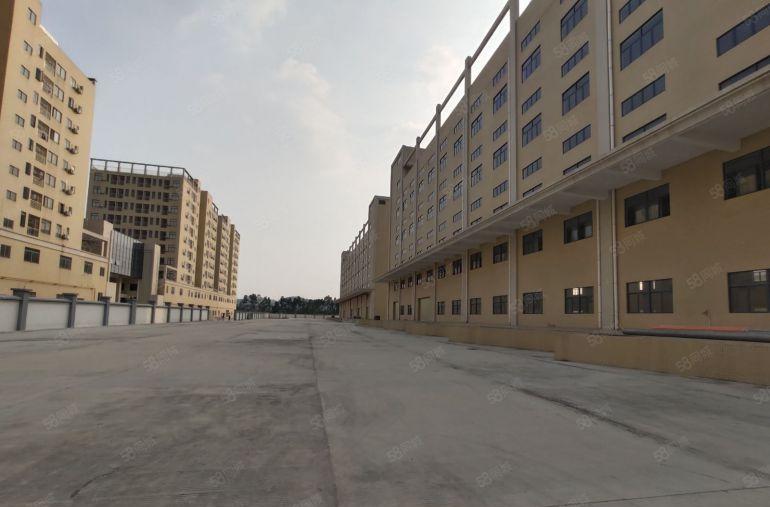 厚街独院 带卸货平台全新标准厂房 层高10米 空地大 原房东