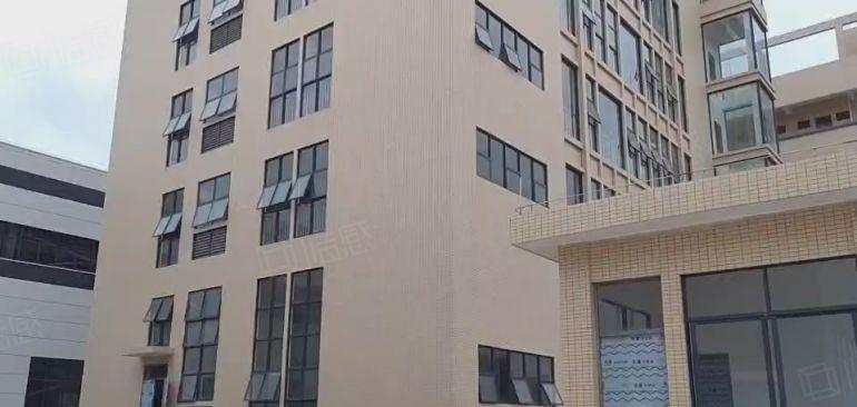 独院原房东钢构厂房6700平方 15米高 带隔热层 全新超靓