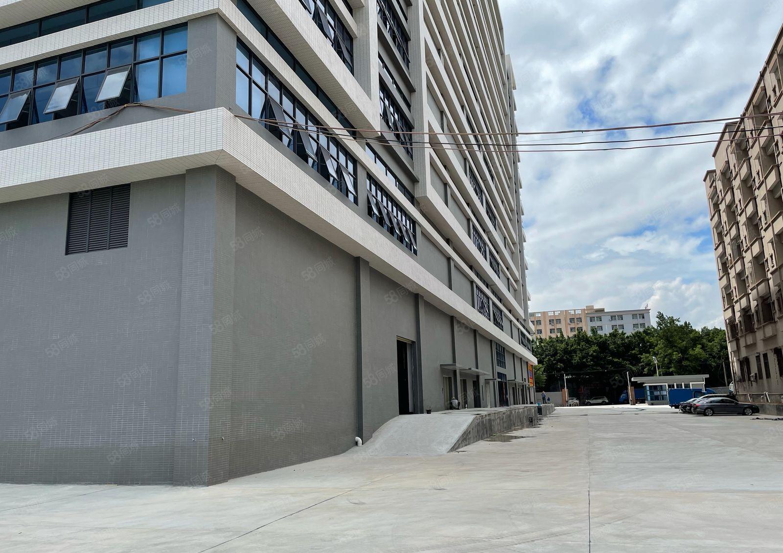 厚街全新红本独院厂房9万平方，大小可分租