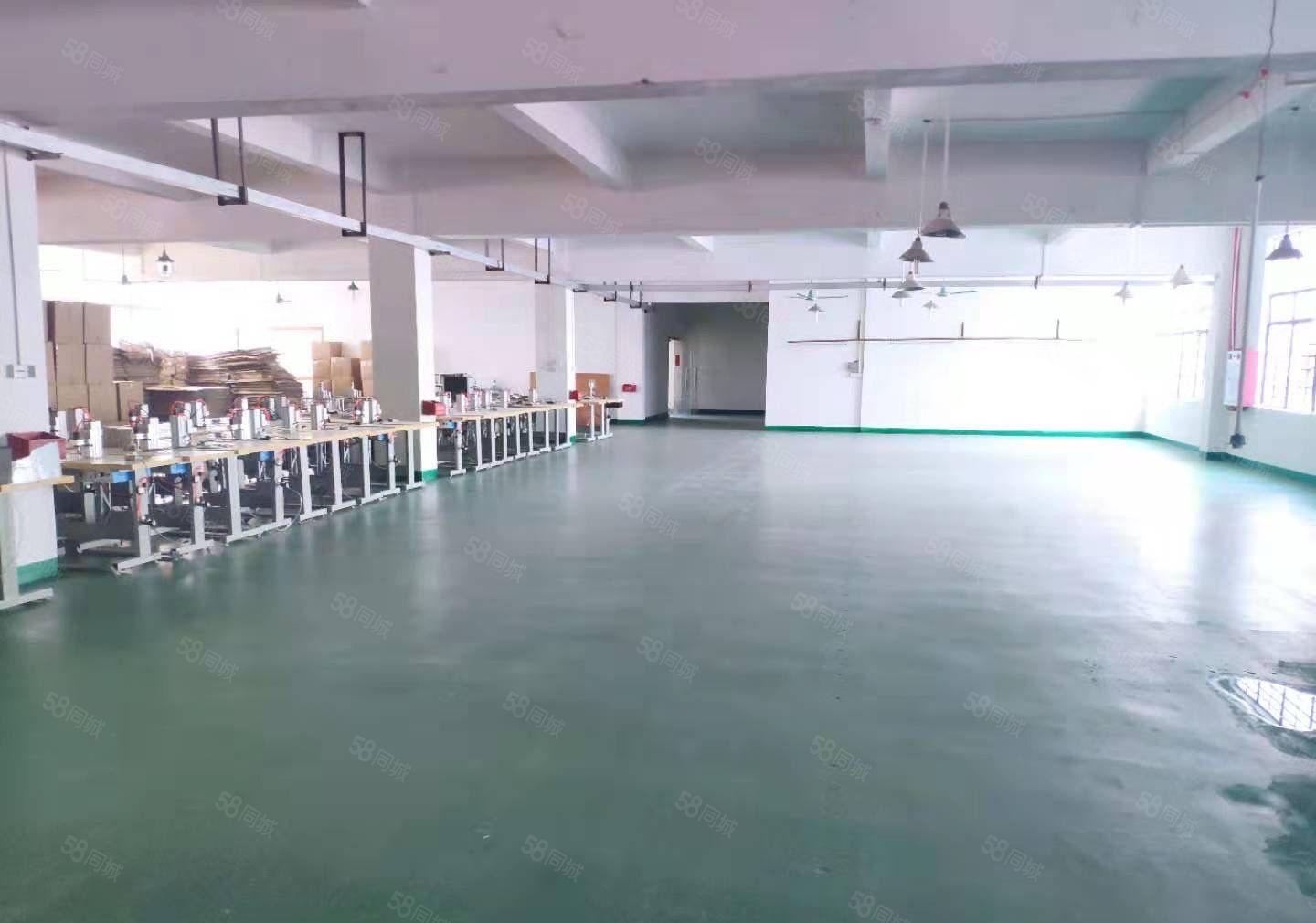 一手房东厂房出租出租仓库800平实际面积，水电办公室现成装修