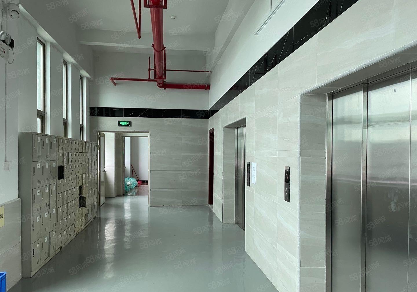 厚街（现成装修）全新独院一楼整层2000方厂房出租适合电子