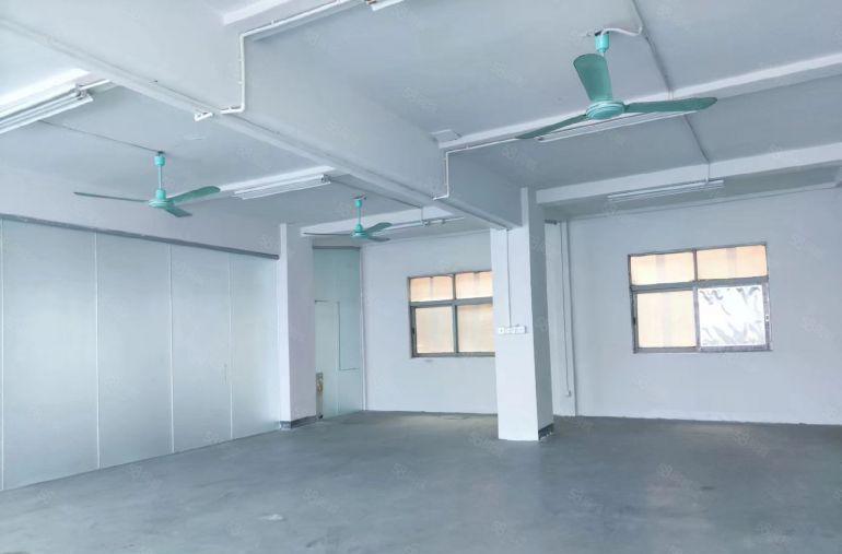 厚街镇新出1300平标准厂房独门独院出租，7米高，水电全