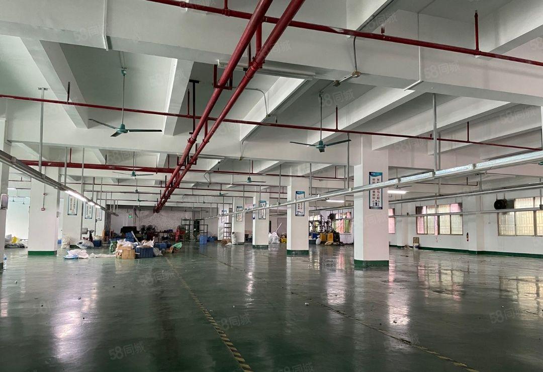 厚街镇高速出口新出一楼7.5米4000平方可分租一半带地平漆