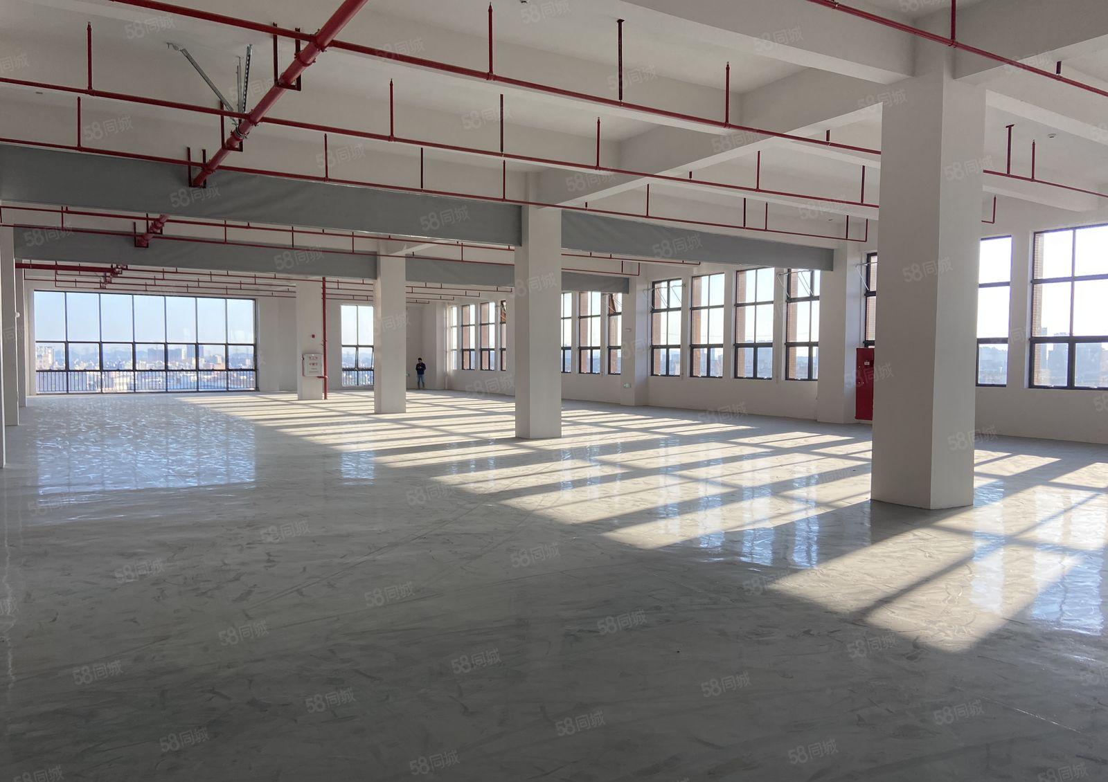 厚街涌口全新原房东厂房1730平方全新装修