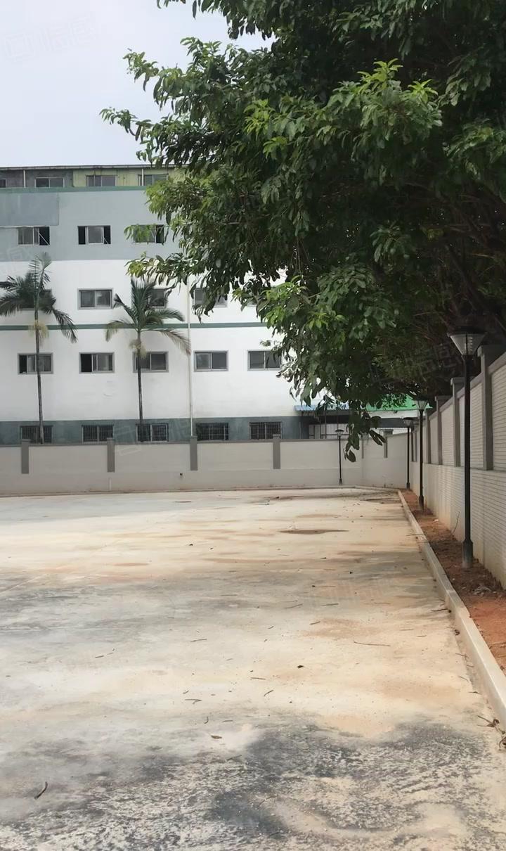 厚街新建厂房单层2800平方，一楼7米带牛角