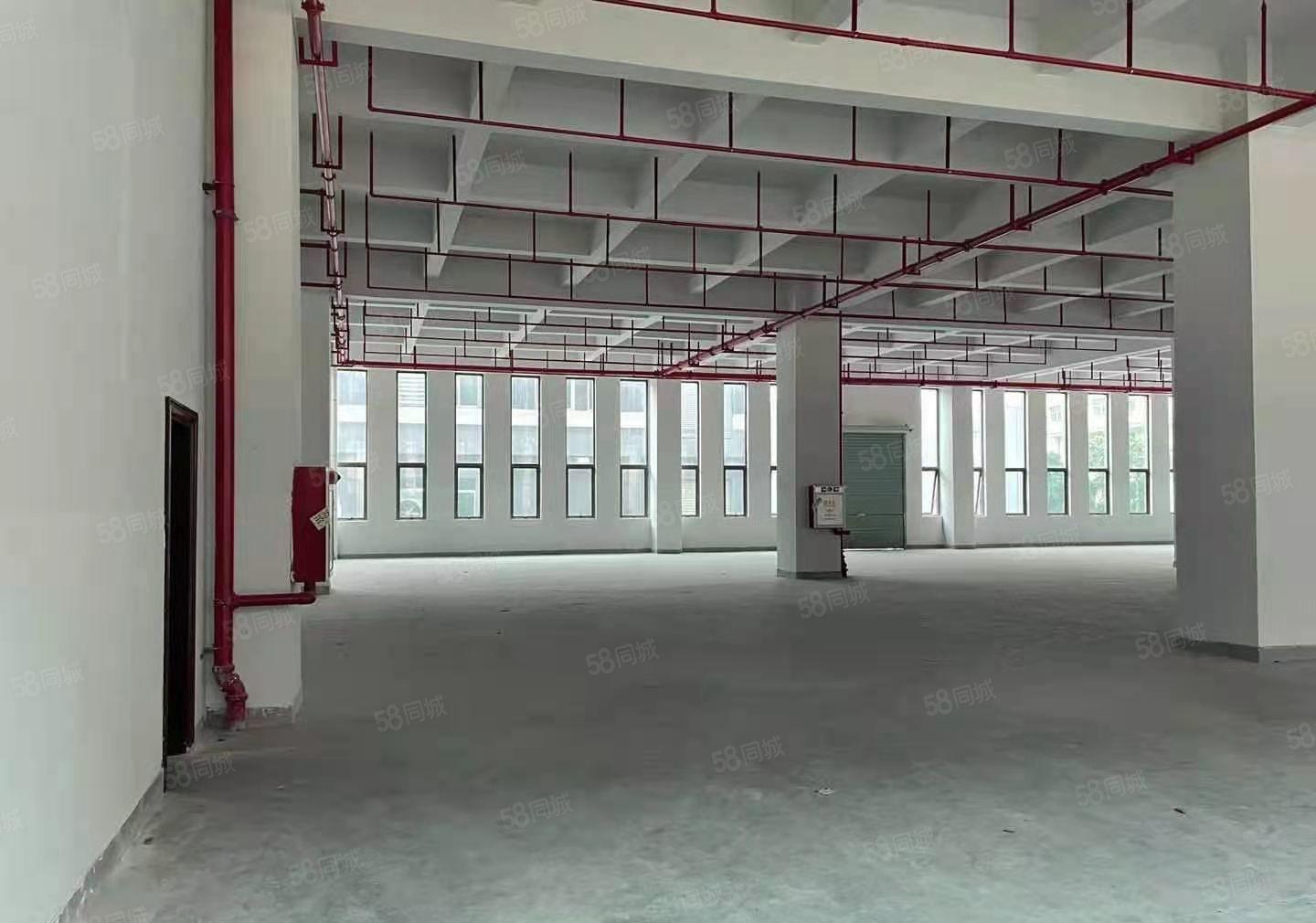 汀山全新厂房一楼2500平厂房出租， 园区厂房，带消防喷淋